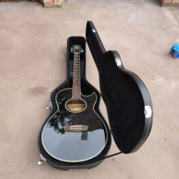 Washburn EA21 Spruce Top Acoustic Electric Guitar With 4-Band EQ (used)